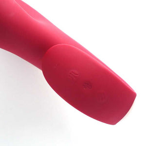 Sandra rabbit vibrator control buttons and settings