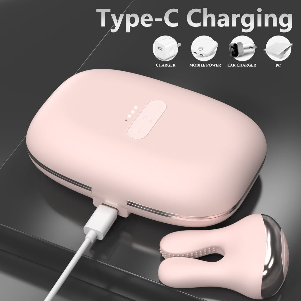 Rabbit Pods charging case with Type-C charging