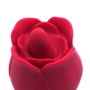 Rose Vibrator Size Comparison - Compact Palm-Sized Design